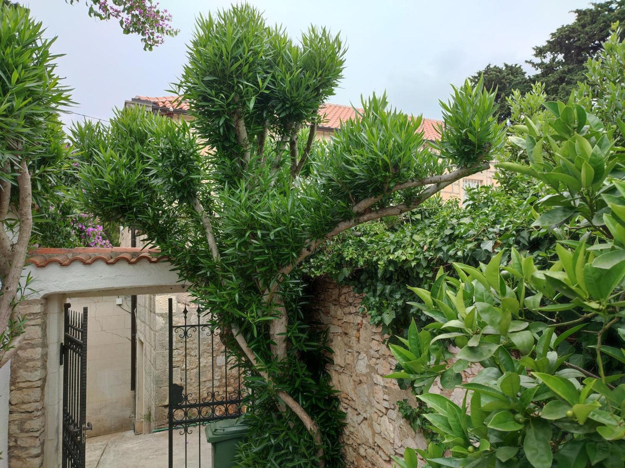 Villa Rustika 수티반 외부 사진